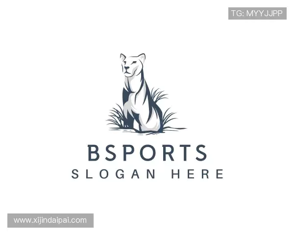 认识bsports